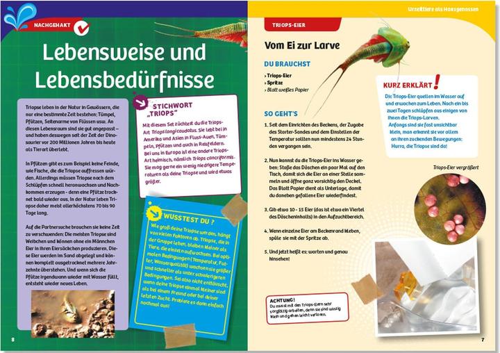 Actual product image Kosmos Triops - Breeding Triops