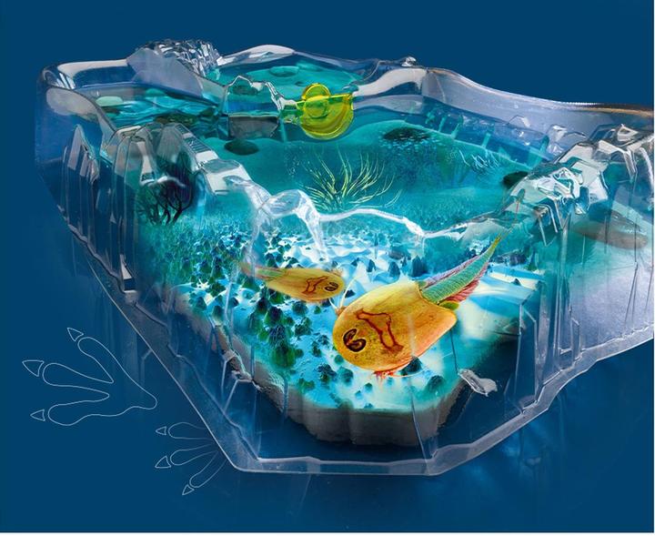 Actual product image Kosmos Triops - Breeding Triops