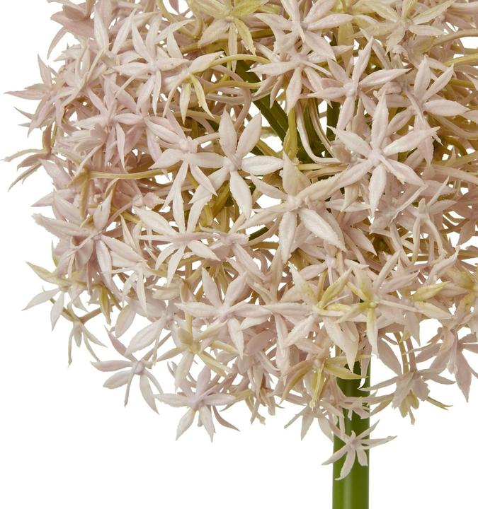 Actual product image Hill Interiors Allium Stem Artificial Plant