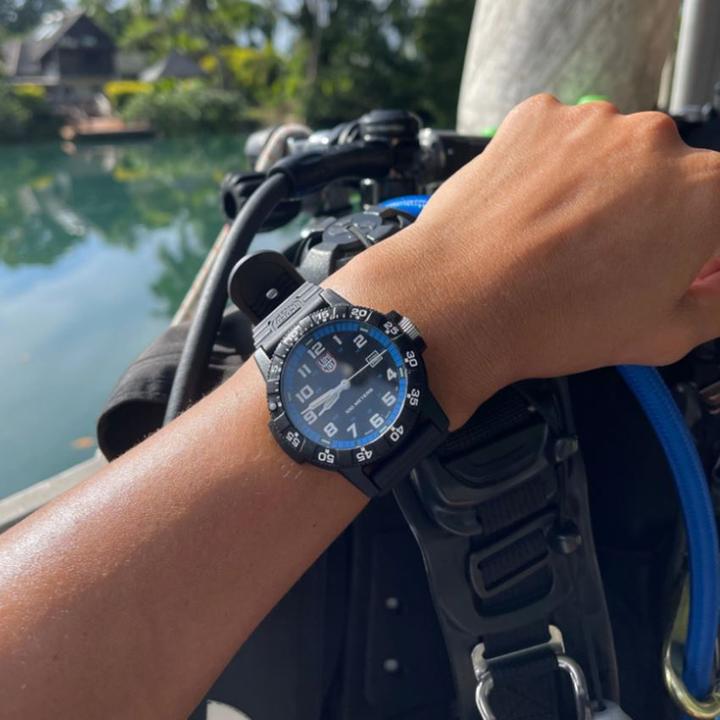 Produktbild Luminox Sea Turgle Gian (Analoguhr, 44 mm)