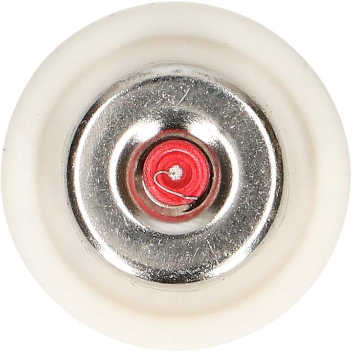 Actual product image Max Hauri Fuse DT, 5 pieces (10 A)