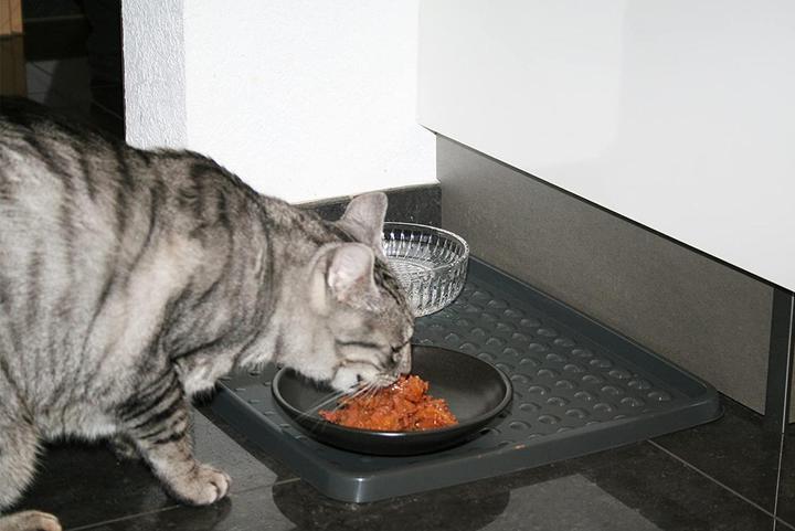 Produktbild Rotho Drops