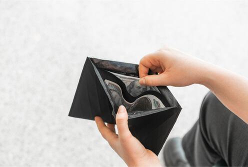 Actual product image Wandrd Travel Wallet