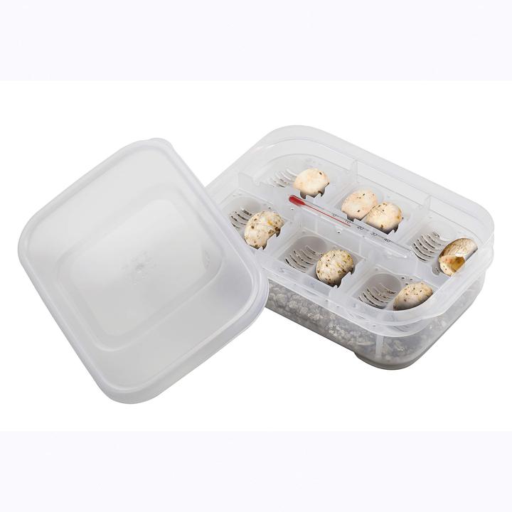 Immagine prodotto Exo Terra Boîte d'incubation