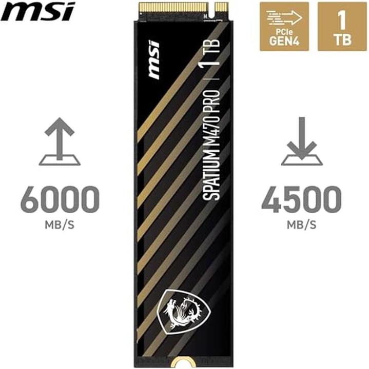 Actual product image MSI Spatium M470 Pro (1000 GB, M.2 2280)
