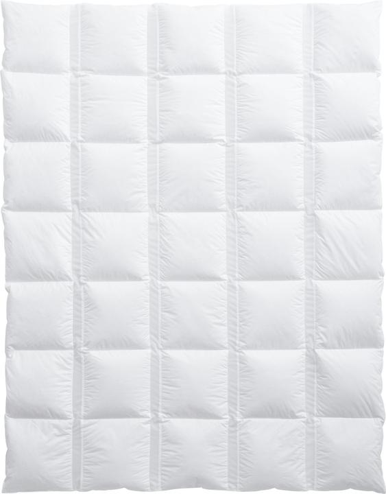 Actual product image Billerbeck Climabalance Classic (600 g, 160 x 240 cm)