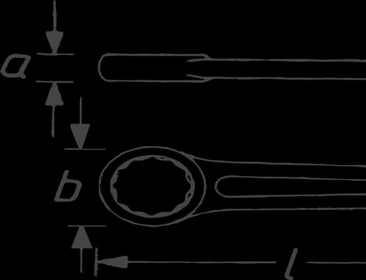 Actual product image HAZET Box-end wrench, striking face pattern 642-100 ∙ Outside 12-point profile ∙ 100 mm (100 mm)