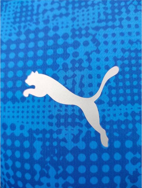 Actual product image Puma teamCUP Training Jersey (S)