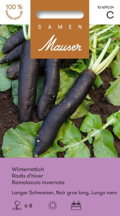 Immagine prodotto Samen Mauser Ravanello invernale Nero lungo (Semi di verdura)