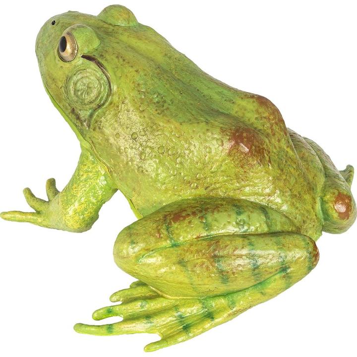 Produktbild Safari Ic Amerikansicher Ochsenfrosch