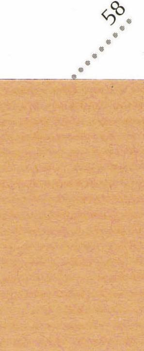 Image du produit Clairefontaine Papiers Kraft (Papier cadeau, 1 x)