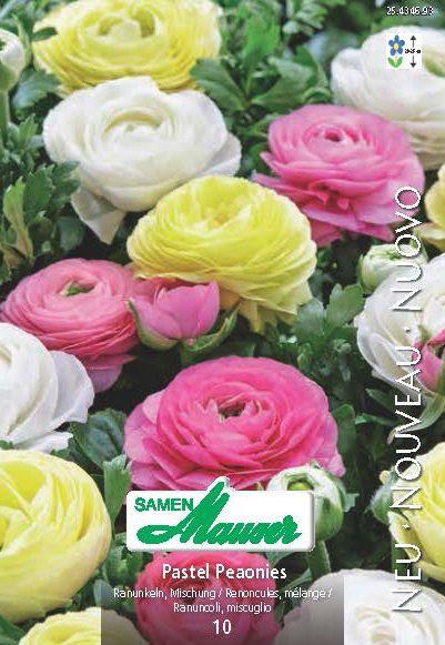 Produktbild Samen Mauser Ranunkeln Mischung (Blumenzwiebeln)