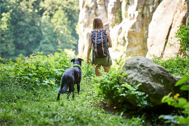 Immagine prodotto Hunter Collare per cani Hilo Vario Plus (XL, Cane, Sport cane)