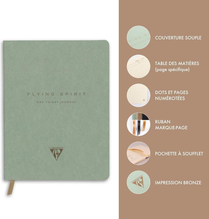 Actual product image Clairefontaine F.S. Vert, Day to da y 19x25 192 shts ass (19 x 25 cm, Dotted, Soft cover)