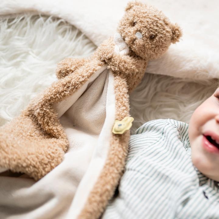 Image du produit Nattou NA Teddy doudou cuddle bear 27*27cm