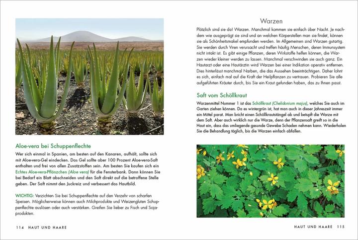 Actual product image Herbs and medicinal plants for women: Teas, tinctures and ointments from natural medicine itself (German, Larena Lambert, 2021)