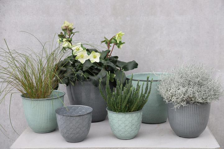 Produktbild Jaco Steel Surat (28 x 23 cm)