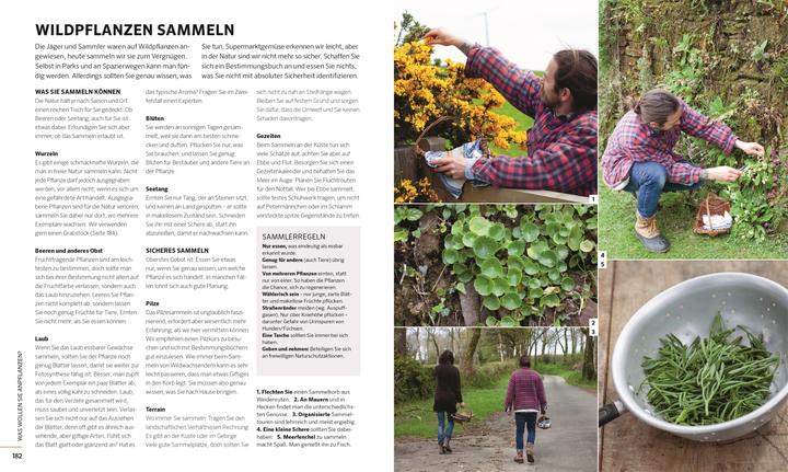 Produktbild Das grosse Buch der Selbstversorgung (Deutsch, James Strawbridge, 2021)