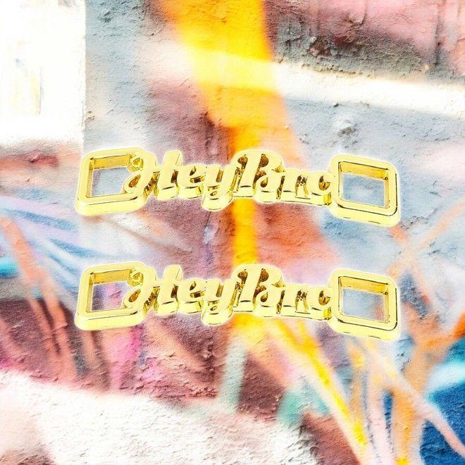 Immagine prodotto LaceGodZ 1 Paar "Hey Bro" Schnürsenkel Clips (3.76 cm)