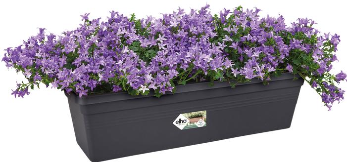 Image du produit Elho Bacs à balcon Green Basics (400 cm)