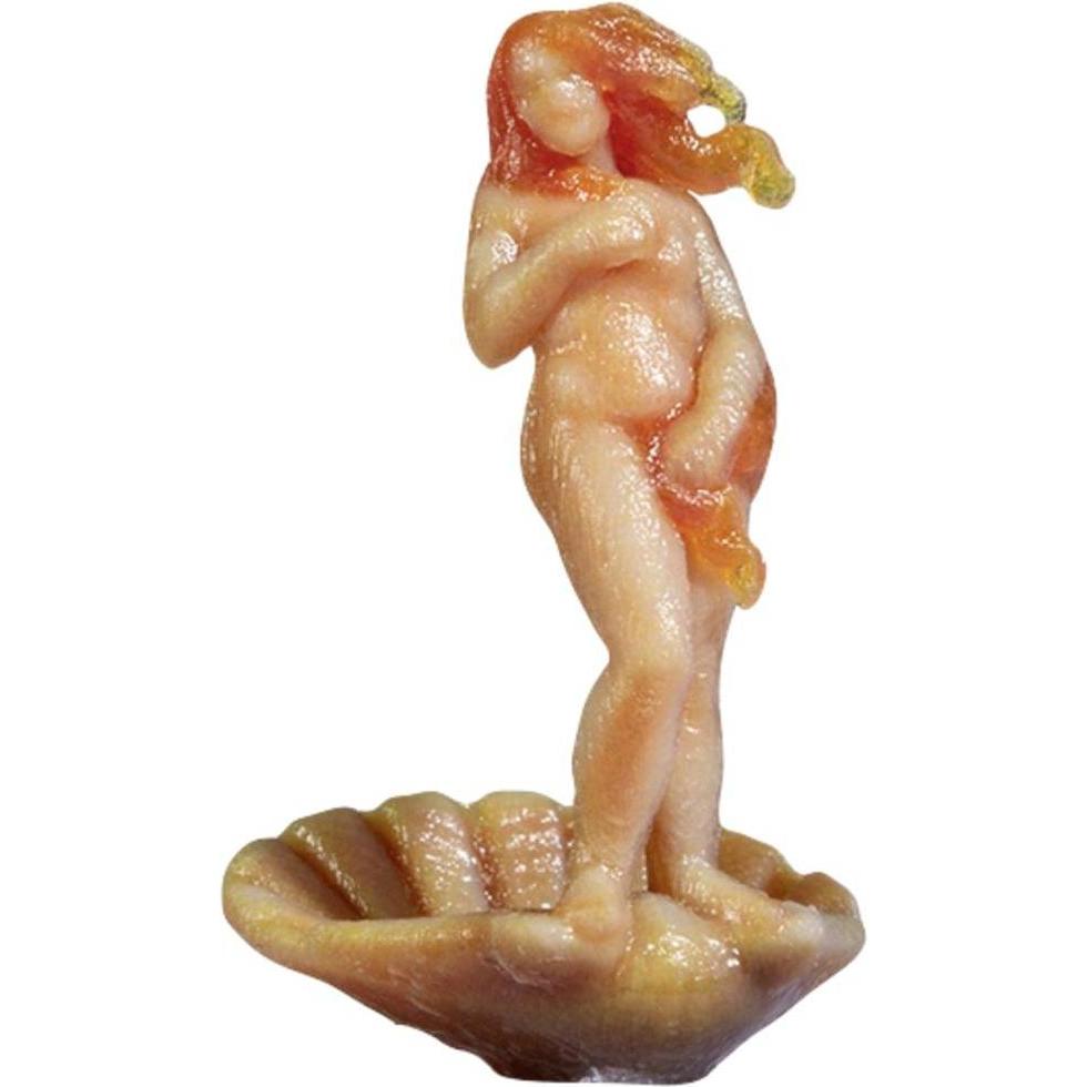 Noch Venus, 3D-Master