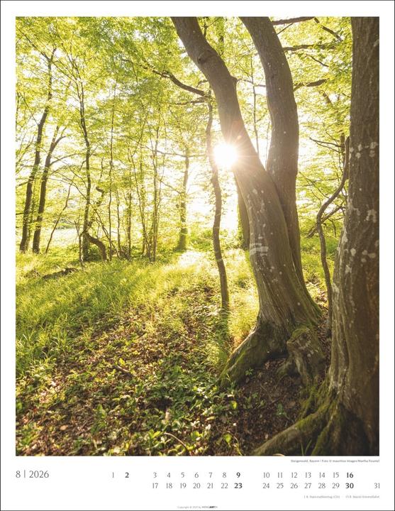 Produktbild Heimische Wälder Kalender 2026 (34 x 44 cm, Harter Einband, Deutsch)