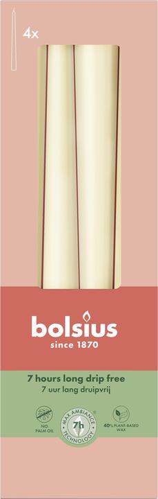 Cream, Ivory, Perle, White