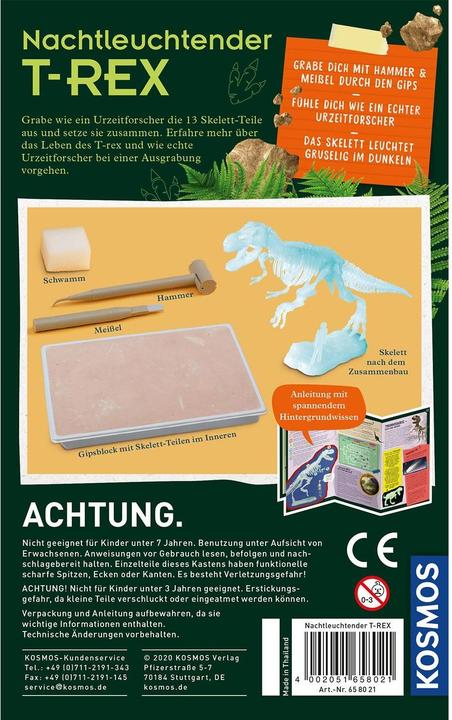 Actual product image Kosmos Glow in the Dark T-Rex Bikken