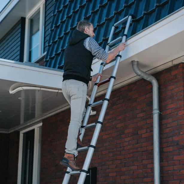 Actual product image Batavia Giraffe Air (Telescopic ladder, 327 cm)