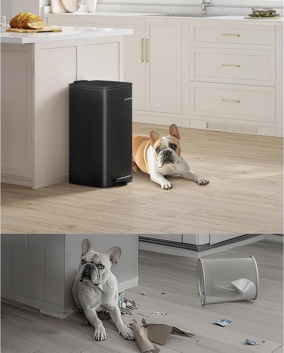 Immagine prodotto Songmics Abfalleimer 20 l, Schwarz, Anzahl Behälter: 1, Detailfarbe (20 l)