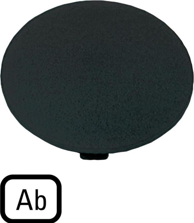 Actual product image Eaton Key plate, mushroom black, AB 218274