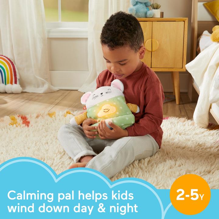 Actual product image Fisher-Price Meditation Mouse
