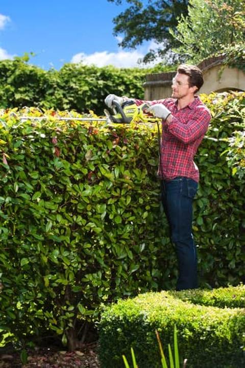 Produktbild Ryobi ElektroHeckenschere (Netzbetrieb)