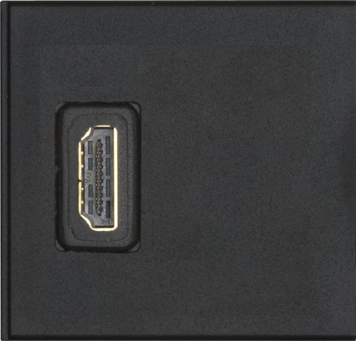 Produktbild Evoline Wechselmodul 1 x HDMI Buchse vorne und hinten Kunststoff schwarz