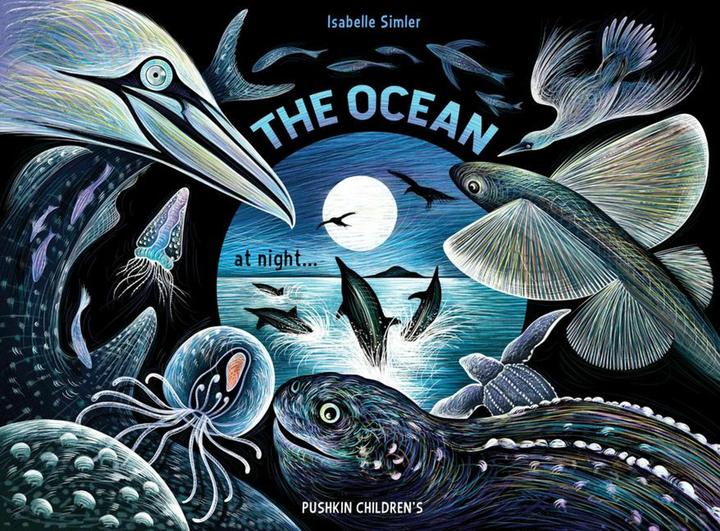 The Ocean at Night (Englisch, Isabelle Simler, 2025)