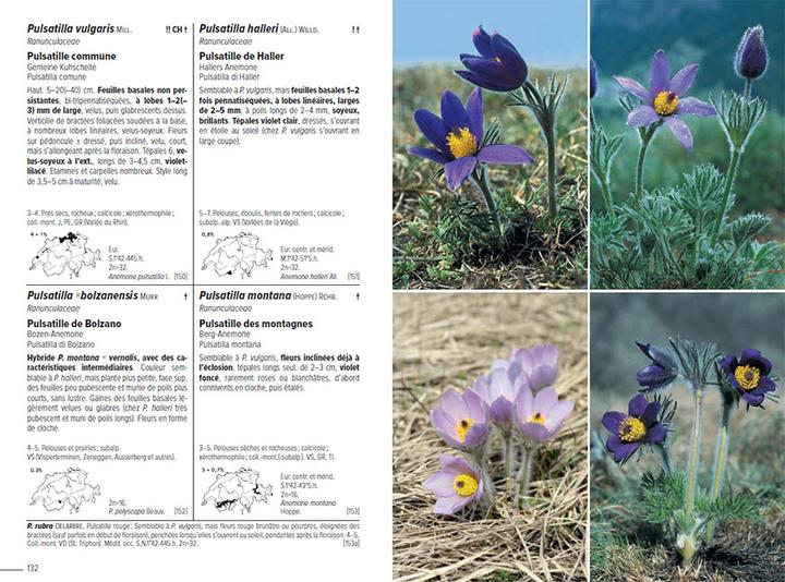 Image du produit Flora Helvetica - Flore illustrée de Suisse (Français, Andreas Gygax, Anne-Laure Maire, Ernest Gfeller, Gerhart Wagner, Konrad Lauber, 2024)