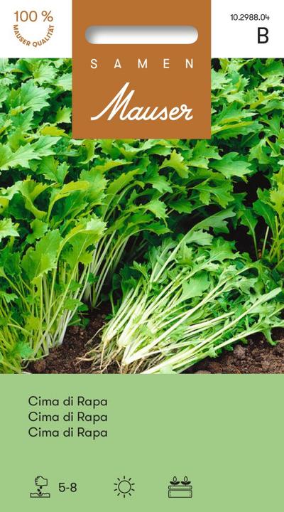 Produktbild Samen Mauser Cima di rapa (Gemüsesamen)