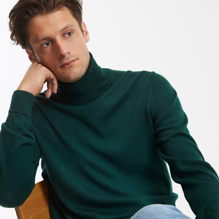 Produktbild La Redoute Collections Rollkragenpullover aus 100% Merinowolle (L)
