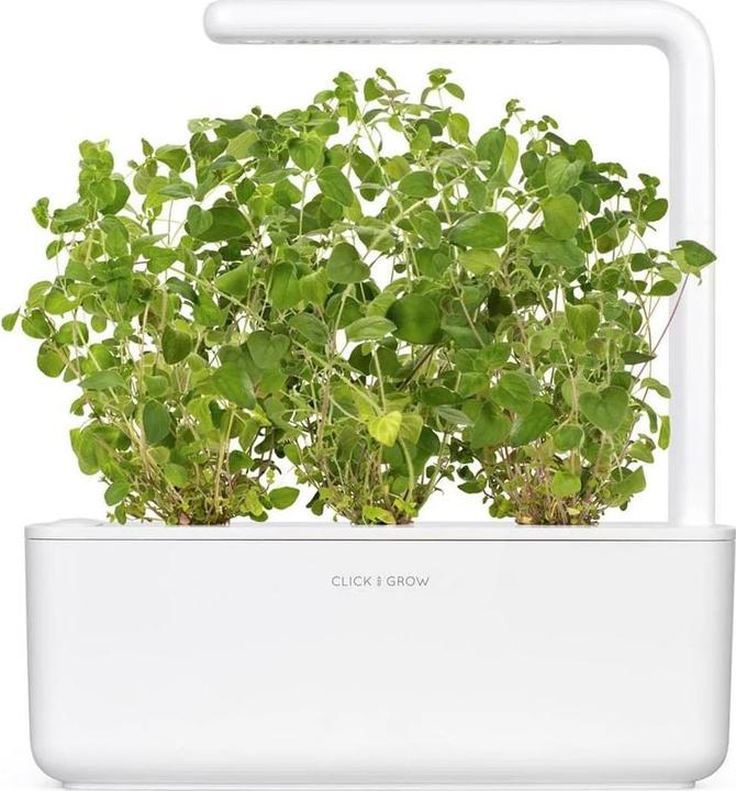 Produktbild Click and Grow Oregano (Kräutersamen)