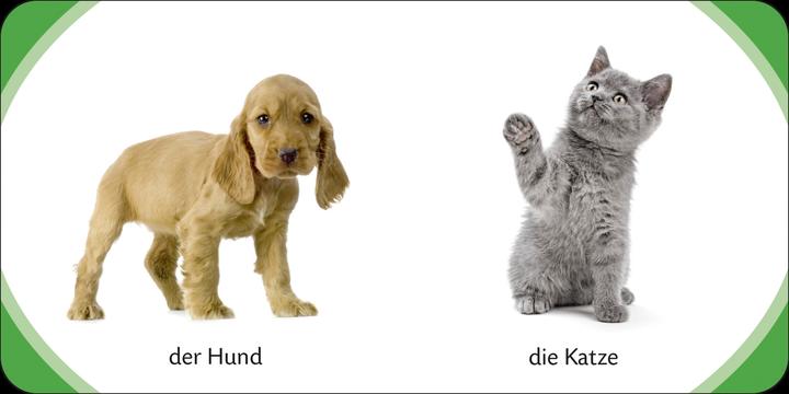 Image du produit Kennst du das? Meine bunte Kinderwelt (Allemand, 2013)