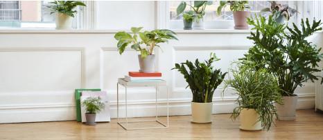 Productafbeelding HAY COFFEE TRAY TAFEL bijzettafel lichtgrijs (60 x 60 x 39 cm)