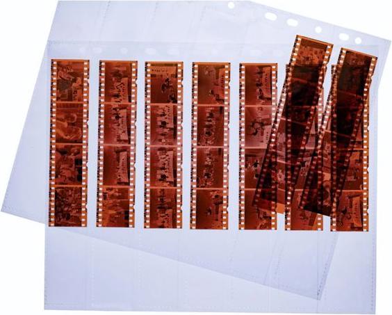 Immagine prodotto HERMA Buste negative (1 x)