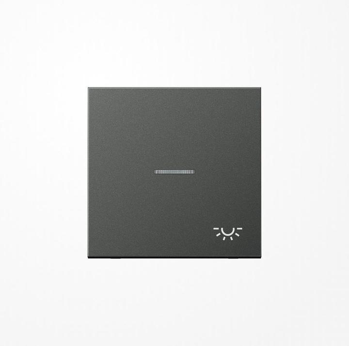 Actual product image JUNG Rocker 1t switch LS anth mt light AL2990KO5LAN