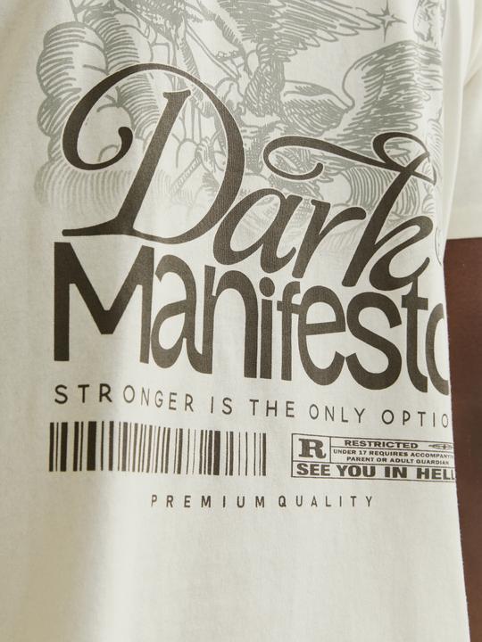 Image du produit Jack & Jones Jordark Tee Ss Crew Neck Ft Styd Aw24 (XS)