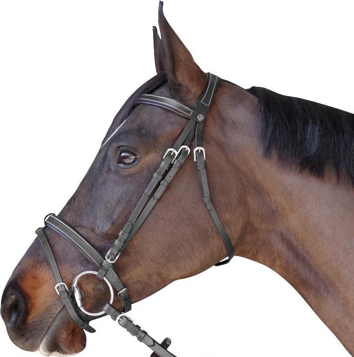 Actual product image Canter Bridle flat lined