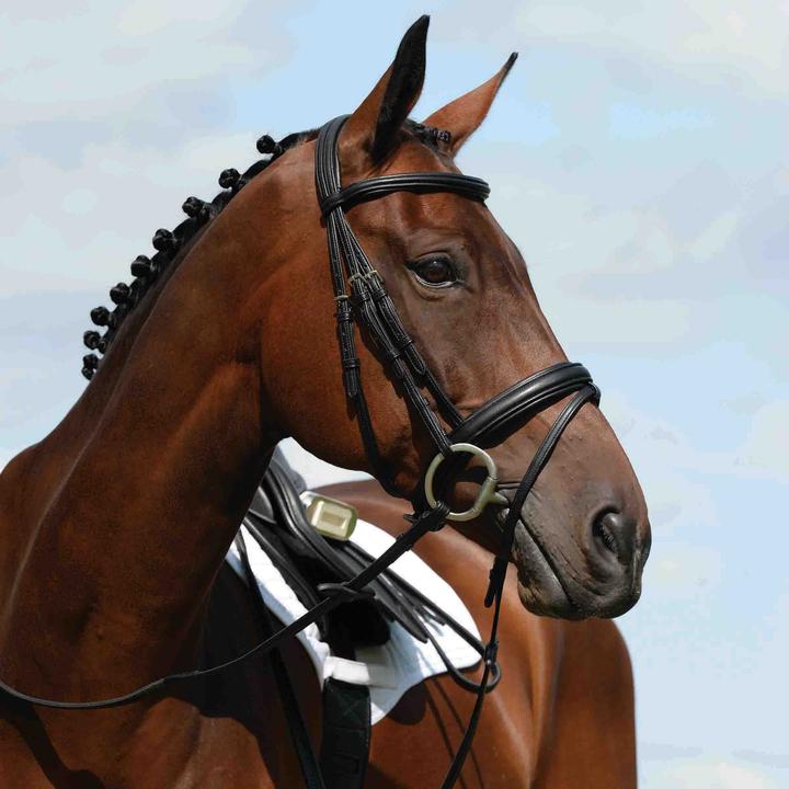Immagine prodotto Weatherbeeta Collegiate Syntovia+