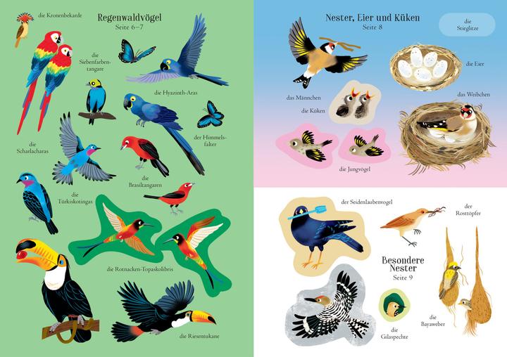 Produktbild Mein Immer-wieder-Stickerbuch: Vögel