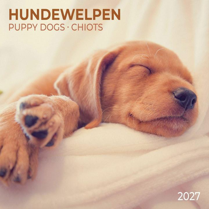 Produktbild Hundewelpen / Puppy Dogs 2027