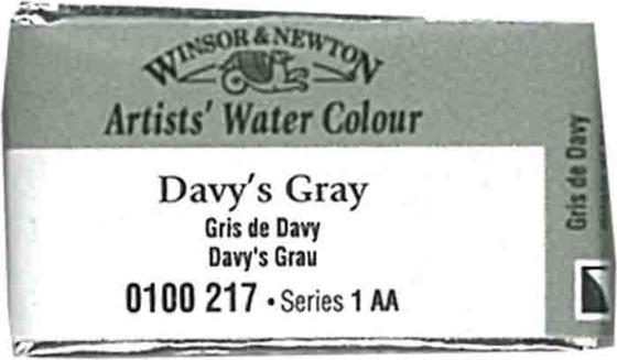 Immagine prodotto Winsor & Newton Artisti dell'acquerello (Grigio, Argento)