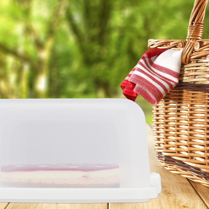 Actual product image Relaxdays Square Cake Carrier